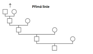 přímá linie
